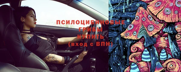 шишки Алексеевка