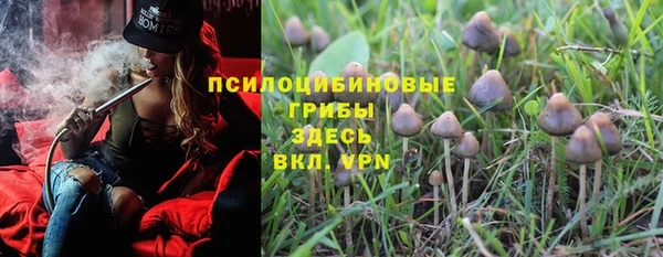 шишки Алексеевка