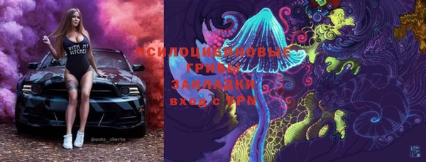 шишки Алексеевка