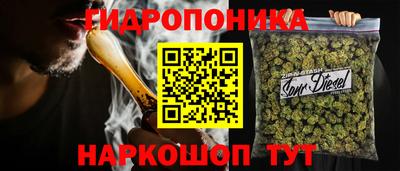 эйфоретик Донской