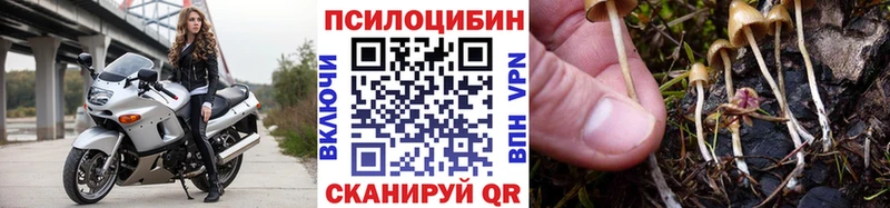 Галлюциногенные грибы Magic Shrooms  где купить наркоту  Омск 