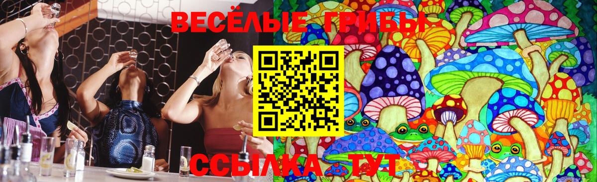 Галлюциногенные грибы MAGIC MUSHROOMS Омск