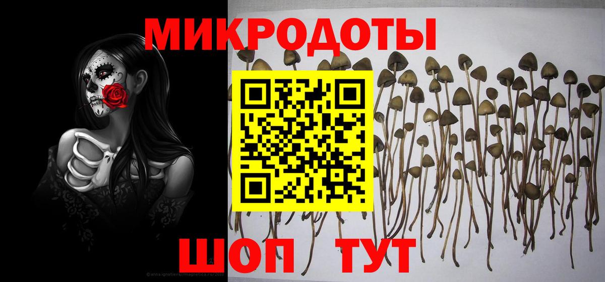 Псилоцибиновые грибы GOLDEN TEACHER  Галлюциногенные грибы прущие грибы  Омск  Вход с VPN 