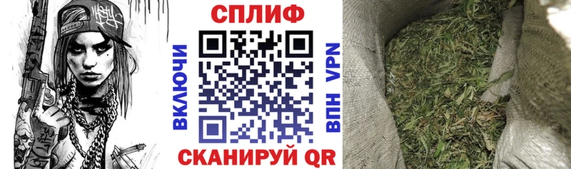 Конопля план  Омск 